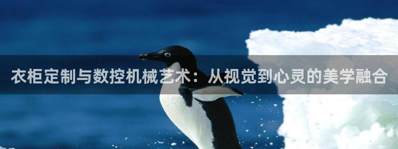 天辰娱乐白屏