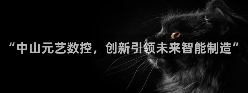 天辰娱乐1996
