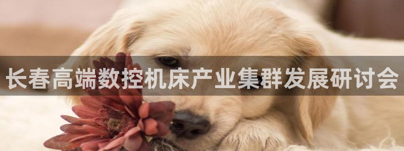腾讯天辰娱乐