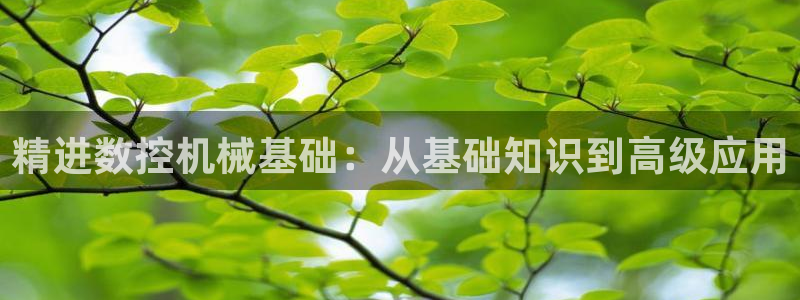 天辰说娱乐