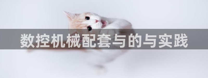 天辰娱乐登录网址