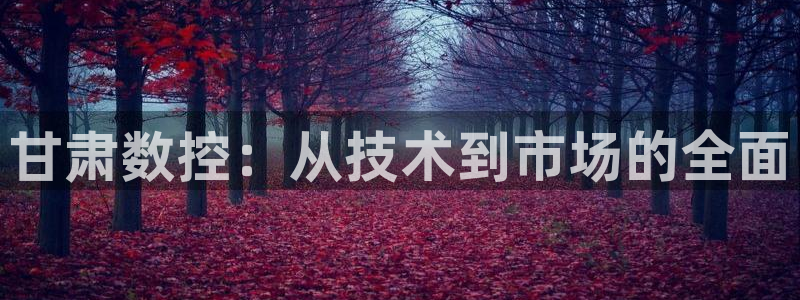 天辰娱乐728567