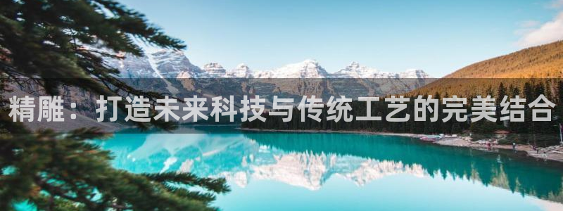 天辰娱乐咋样：精雕：打造未来科技与传统工艺的完美结合