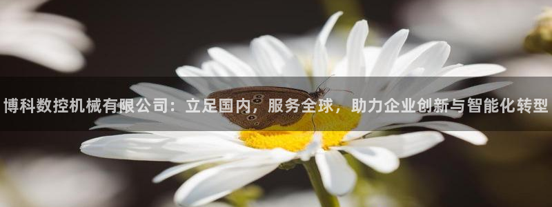 天辰娱乐 44516