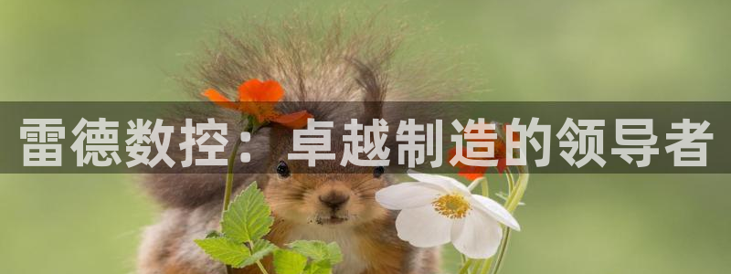 天辰娱乐 天辰平台