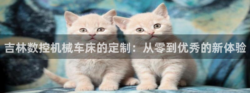 辰天娱乐