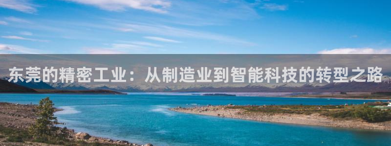 天辰娱乐入口：东莞的精密工业：从制造业到智能科技的转型之路