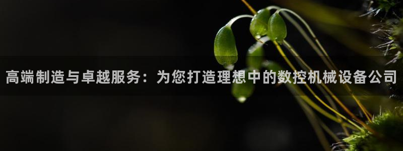 天辰娱乐957807