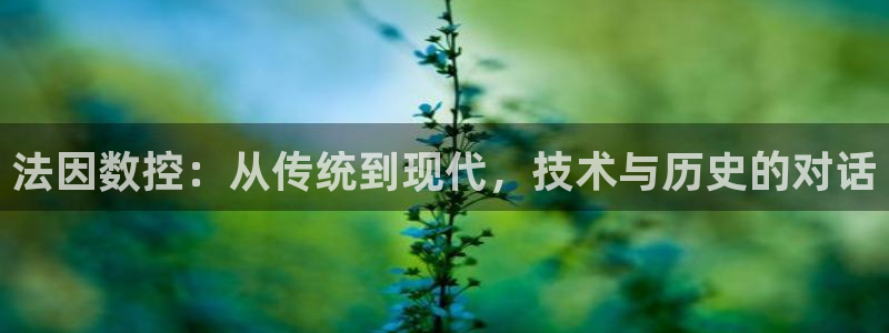 天辰娱乐总管年薪