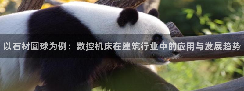 天辰娱乐 18113