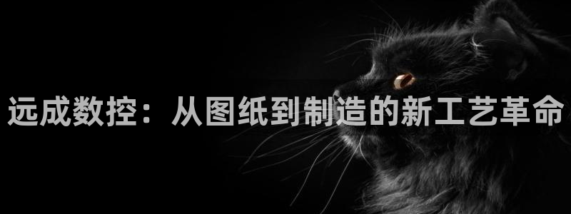 天辰娱乐官方