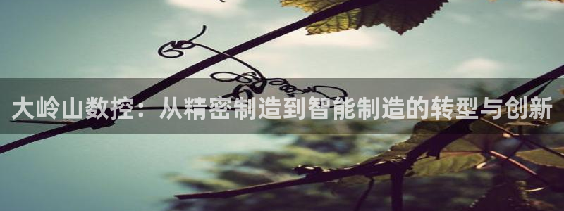 天辰娱乐 18113