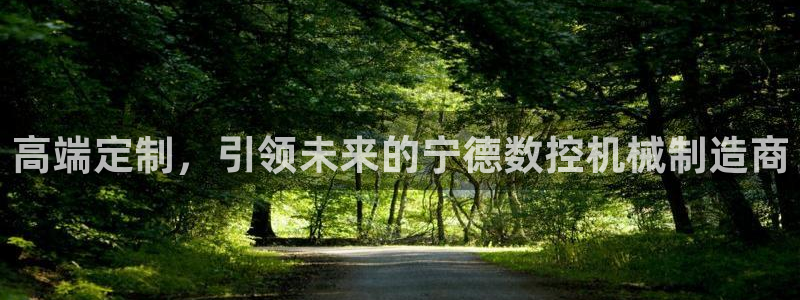天辰娱乐公司:高端定制,引领未来的宁德数控机械制造商