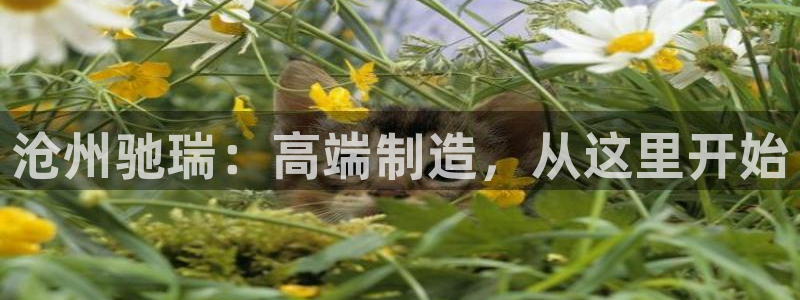 天辰娱乐appxi:沧州驰瑞:高端制造,从这里开始