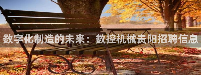 天辰娱乐咋样:数字化制造的未来:数控机械贵阳招聘信息