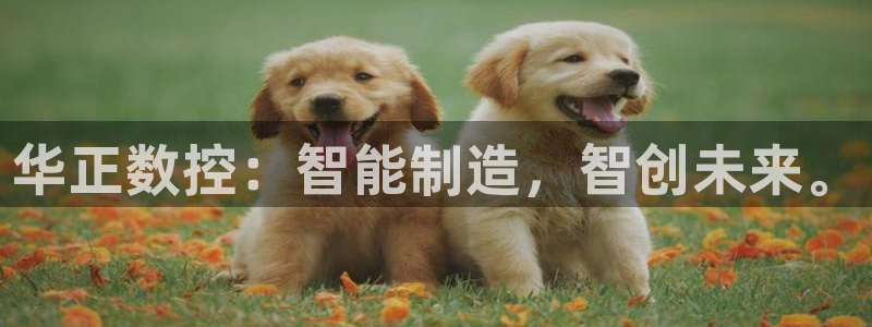 腾讯天辰娱乐