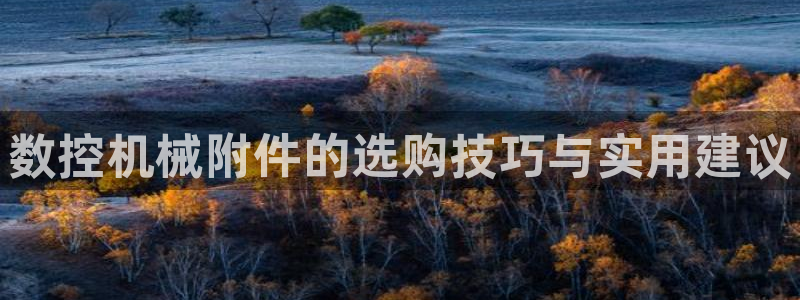 南京天辰娱乐