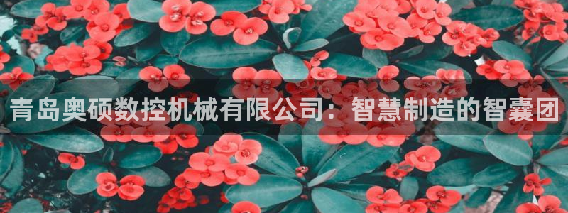 天辰娱乐主页