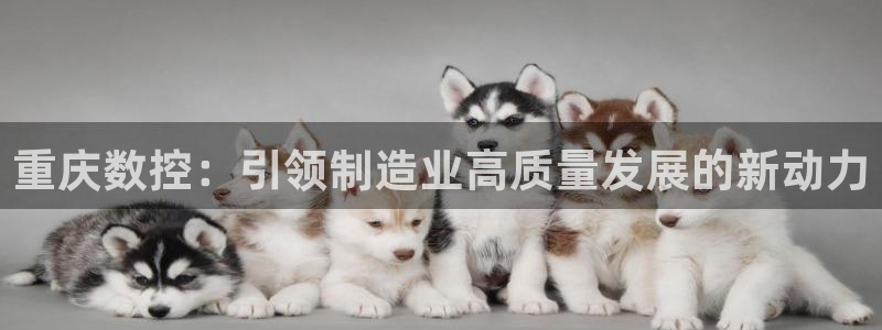 天辰天辰娱乐