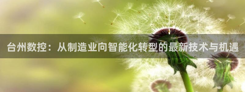 天辰娱乐直属