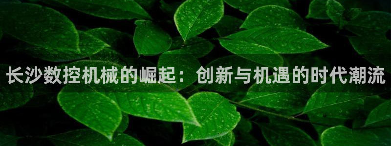 天辰娱乐总管