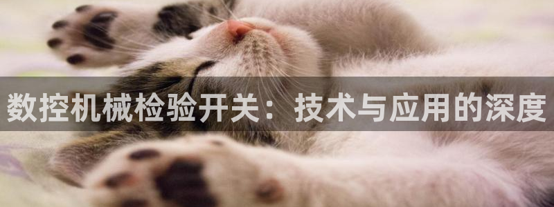 天辰娱乐84566