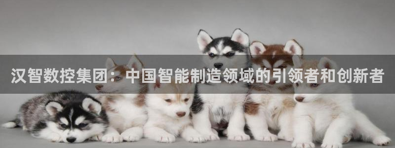 天辰娱乐675138