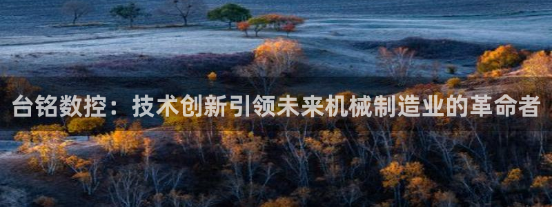 天辰娱乐平台地址在哪里