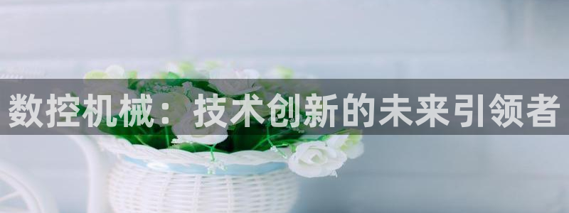 天辰娱乐海洋