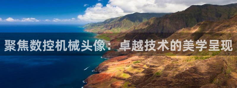 天辰 娱乐 注册：聚焦数控机械头像：卓越技术的美学呈现