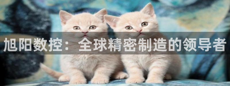 天辰娱乐平台娱乐注册