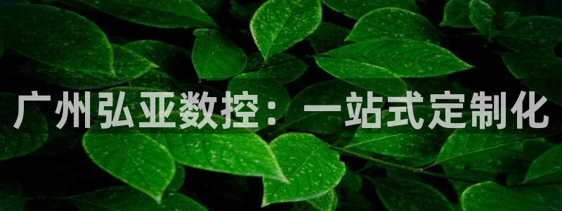 天辰娱乐-q