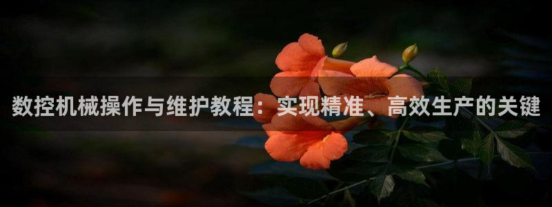 天辰娱乐1996