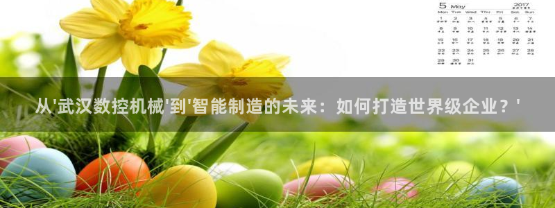 天辰娱乐appxi：从\'武汉数控机械\'到\'智能制造的未来：如何打造世界级企业？\'