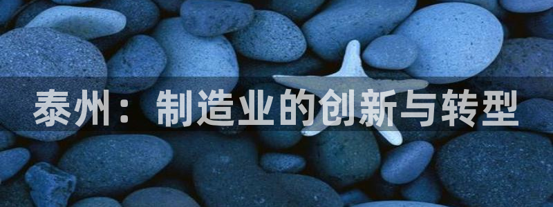 天辰娱乐扣钱：泰州：制造业的创新与转型