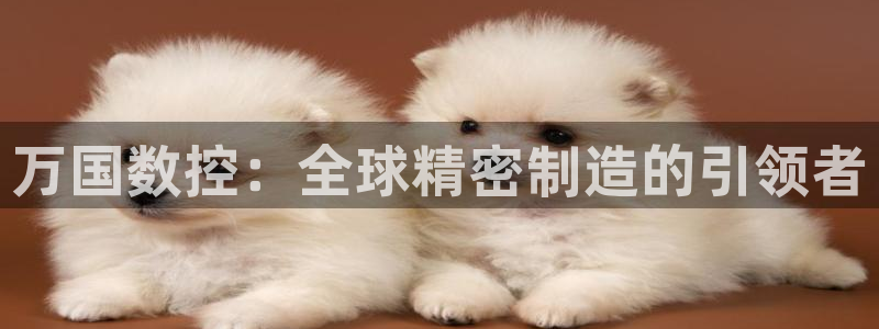 天辰娱乐总管年薪