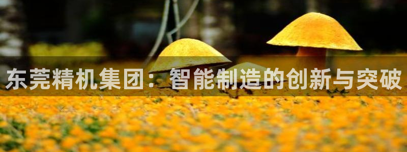 天辰娱乐挂机