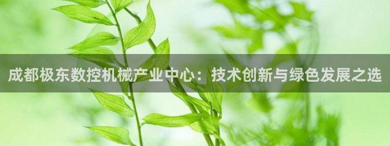 天辰娱乐指定