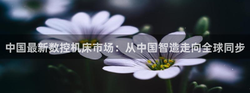 辰天娱乐用品