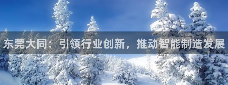 天辰娱乐台湾