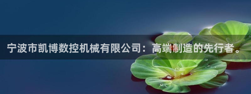 天辰娱乐APP下载