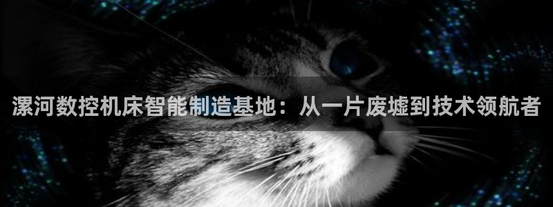 天辰娱乐鱼刺