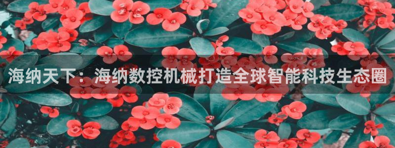 天辰娱乐平台测速