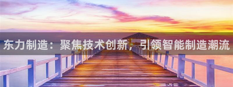天辰娱乐10086：东力制造：聚焦技术创新，引领智能制造潮流