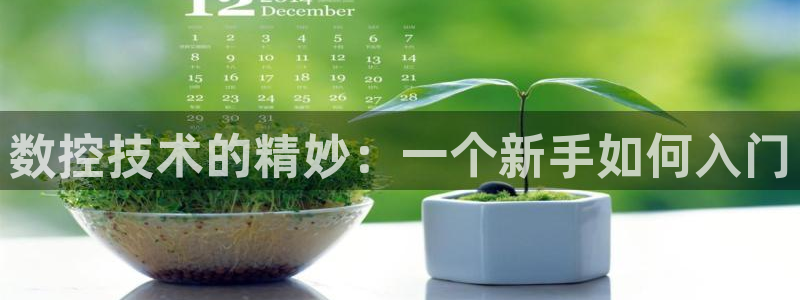 天辰娱乐入口