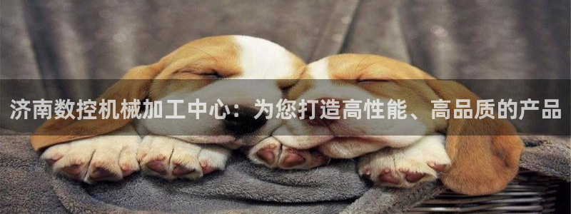 大同天辰娱乐